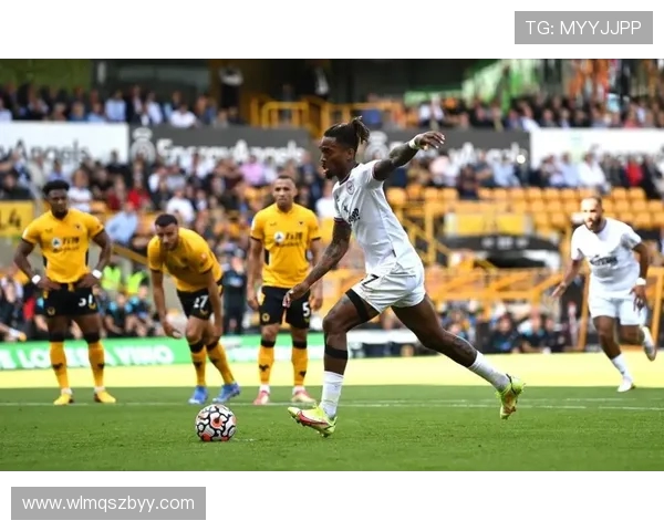 狼队遭遇17轮不胜布伦特福德胜利波特双响凯莱赫神扑点球